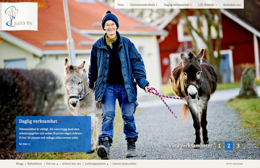 Saltå by driver en gymnasiesärskola och LSS ungdomsboende i Järna. Bilden visar deras nya hemsida.