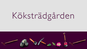 Köksträdgarden