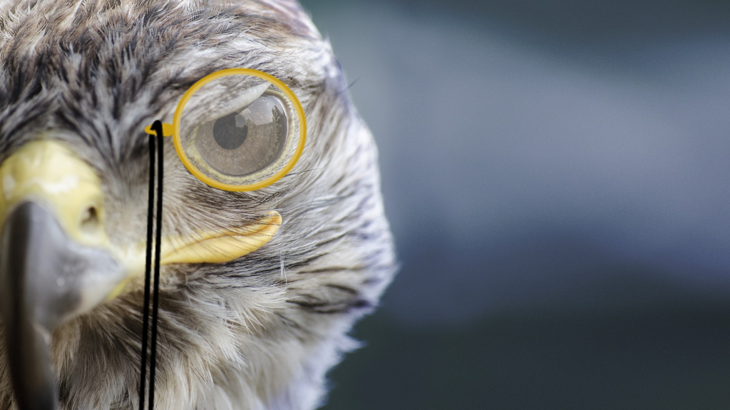 korrekturläsare sökes